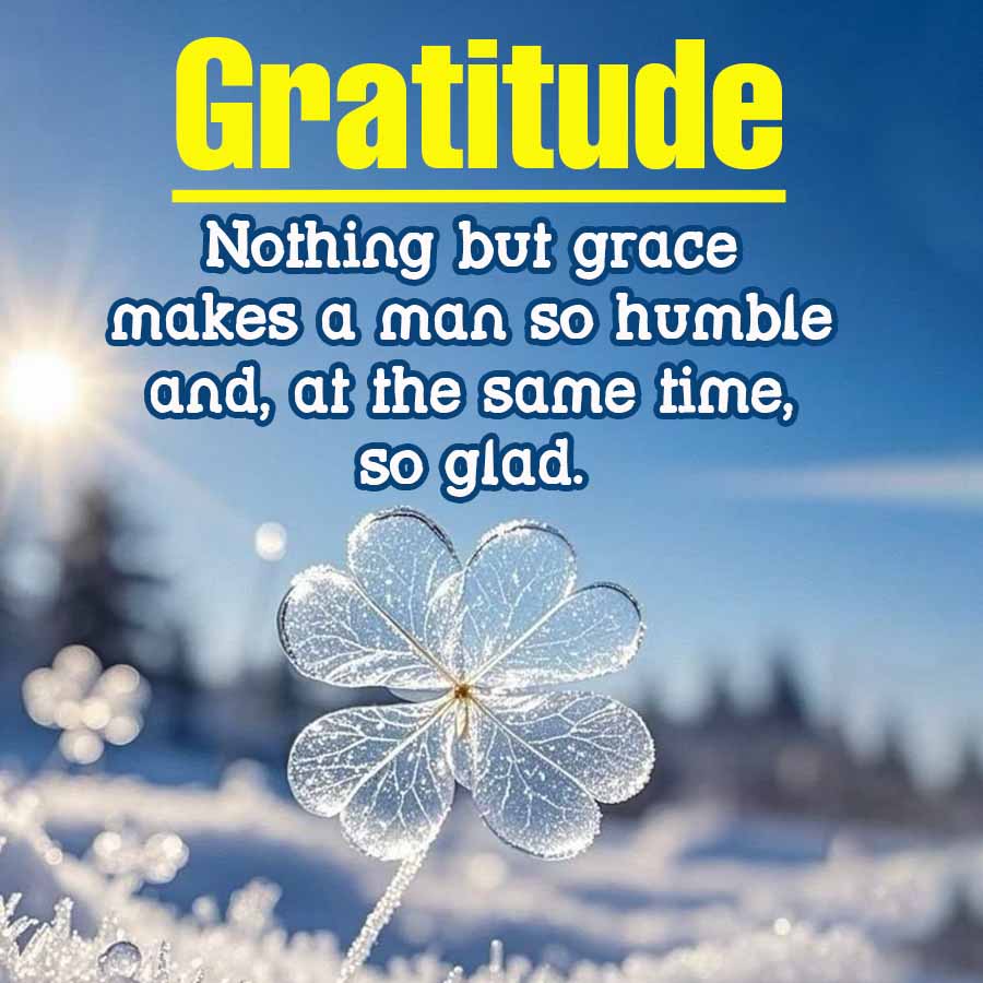 Gratitude
Nothing but grace
makes a man so humble
and, at the same time,
so glad.
