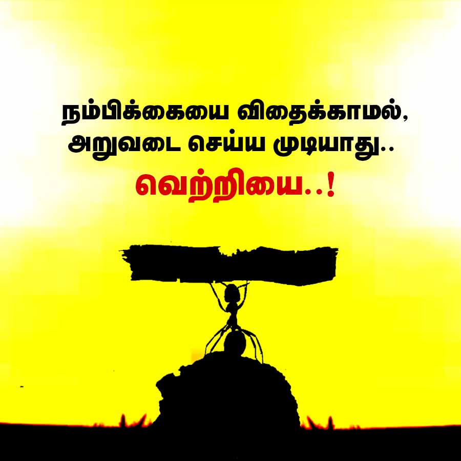 நம்பிக்கையை விதைக்காமல்,
அறுவடை செய்ய முடியாது..
வெற்றியை..!