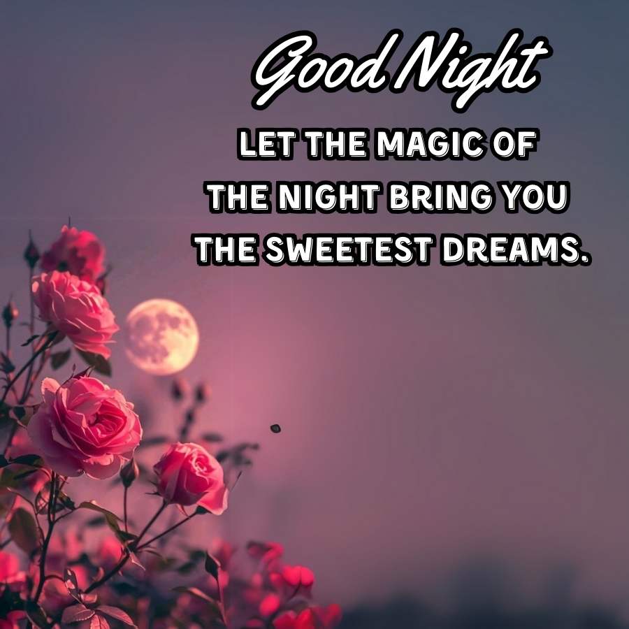 Good Night
LET THE MAGIC OF
THE NIGHT BRING YOU
THE SWEETEST DREAMS.
