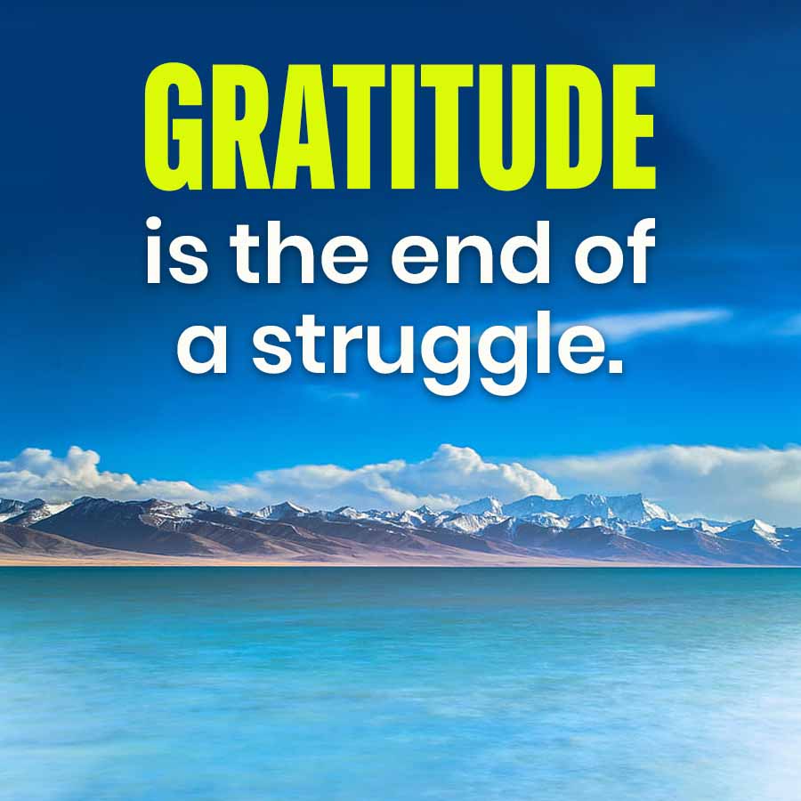 GRATITUDE
is the end of
a struggle.