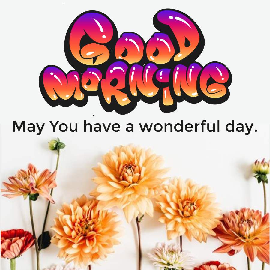 MORNING
May You have a wonderful day.