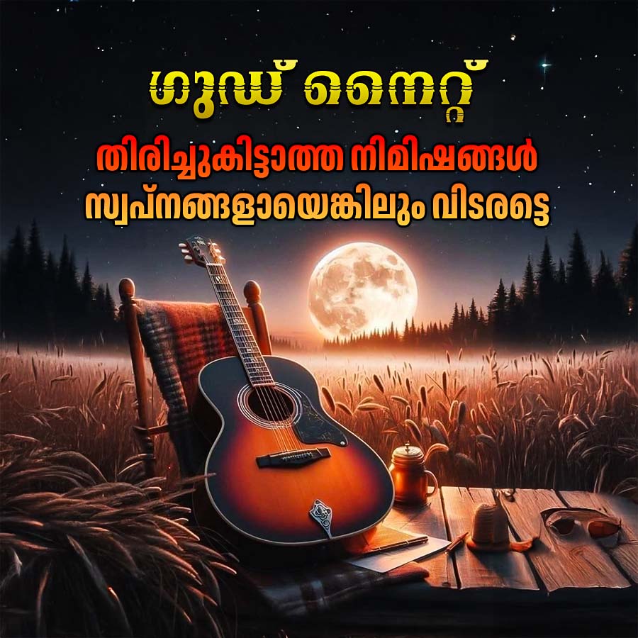 ഗുഡ് നൈറ്റ്
തിരിച്ചുകിട്ടാത്ത നിമിഷങ്ങൾ
സ്വപ്നങ്ങളായെങ്കിലും വിടരട്ടെ