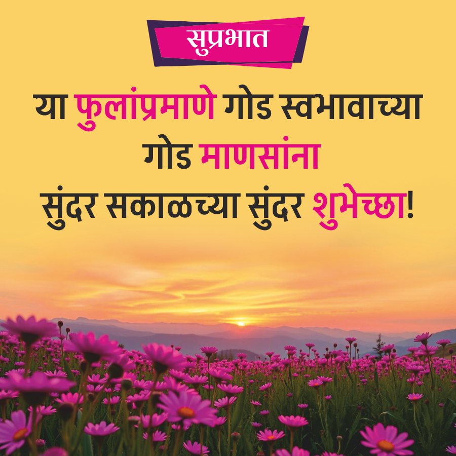 सुप्रभात
या फुलांप्रमाणे गोड स्वभावाच्या
गोड माणसांना
सुंदर सकाळच्या सुंदर शुभेच्छा!
