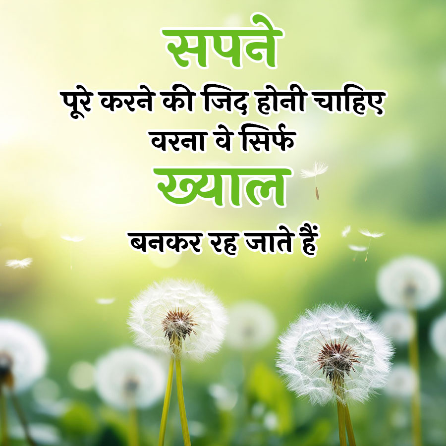 सपने
पूरे करने की जिद होनी चाहिए
वरना वे सिर्फ
ख्याल
बनकर रह जाते हैं