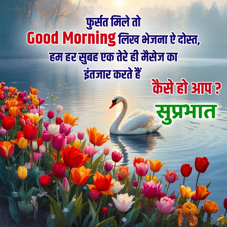 फुर्सत मिले तो
Good Morning लिख भेजना ऐ दोस्त,
हम हर सुबह एक तेरे ही
इंतजार करते हैं
मैसेज का
कैसे हो आप ?
**
सुप्रभात