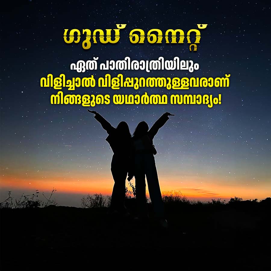 ഗുഡ് നൈറ്റ്
ഏത് പാതിരാത്രിയിലും
വിളിച്ചാൽ വിളിപ്പുറത്തുള്ളവരാണ്
നിങ്ങളുടെ യഥാർത്ഥ സമ്പാദ്യം!