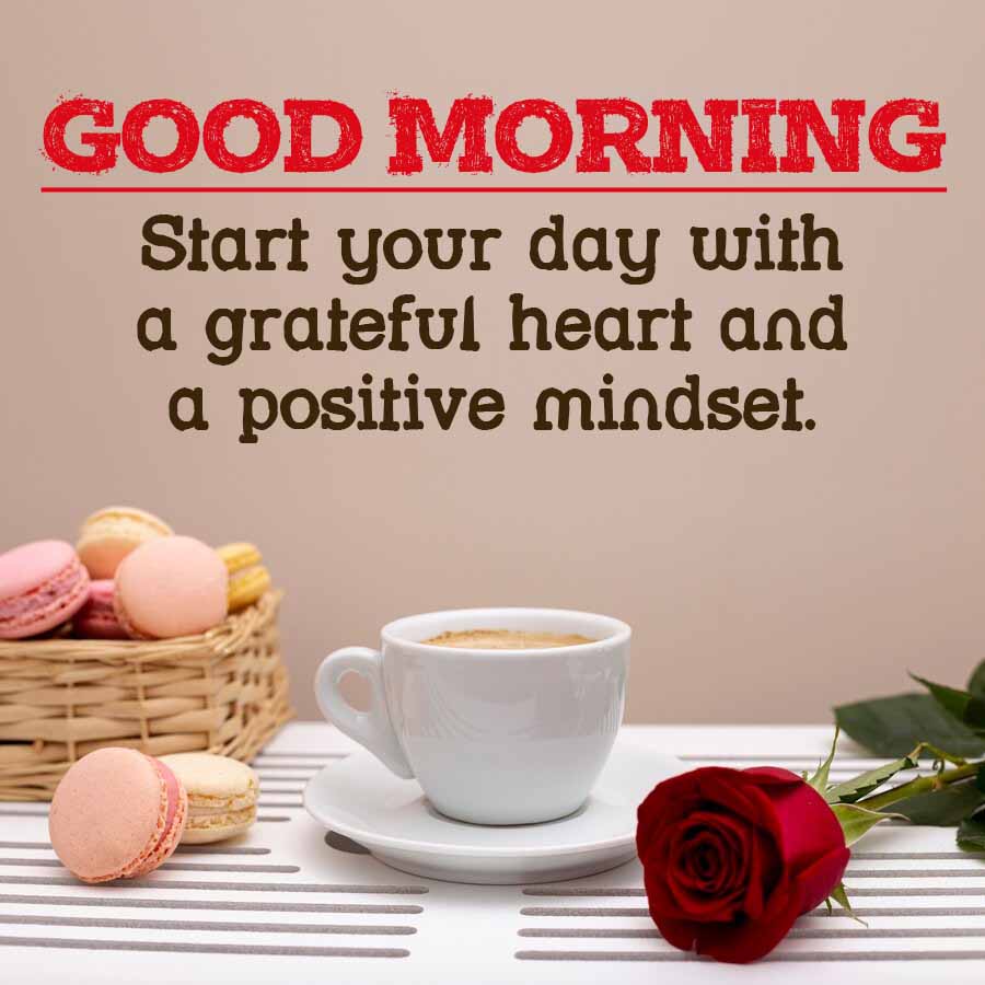 GOOD MORNING
Start your day with
a grateful heart and
a positive mindset.