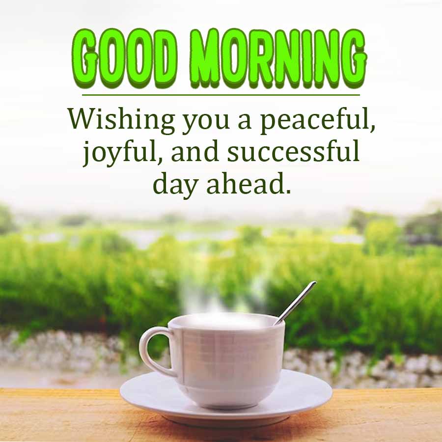 GOOD MORNING
Wishing you a peaceful,
joyful, and successful
day ahead.