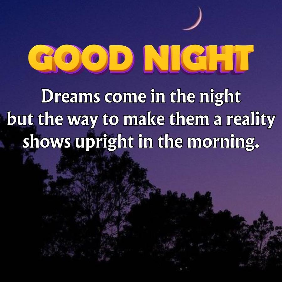 GOOD NIGHT
Dreams come in the night
but the way to make them a reality
shows upright in the morning.
