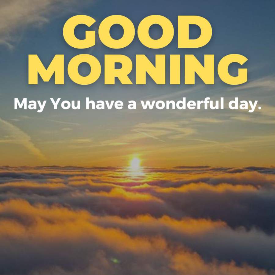 GOOD
MORNING
May You have a wonderful day.