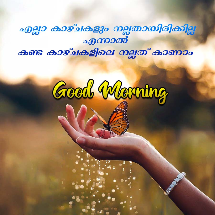 എല്ലാ കാഴ്ചകളും നല്ലതായിരിക്കില്ല
എന്നാൽ
കണ്ട കാഴ്ചകളിലെ നല്ലത് കാണാം
Good Morning