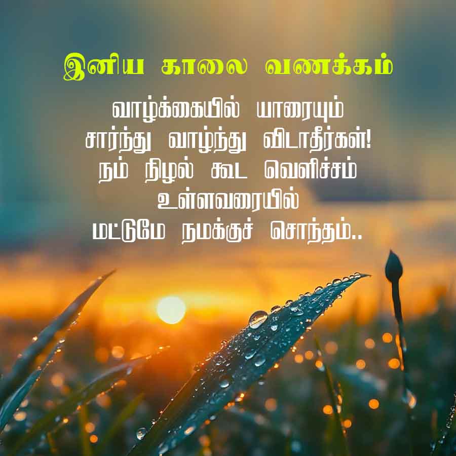 இனிய காலை வணக்கம்
வாழ்க்கையில் யாரையும்
சார்ந்து வாழ்ந்து விடாதீர்கள்!
நம் நிழல் கூட வெளிச்சம்
உள்ளவரையில்
மட்டுமே நமக்குச் சொந்தம்..