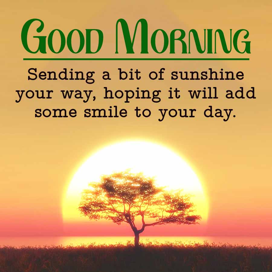 Good Day Wishes In Pictures New Latest Good Morning Images With Quotes Good  Morning Image For, image size:900x900