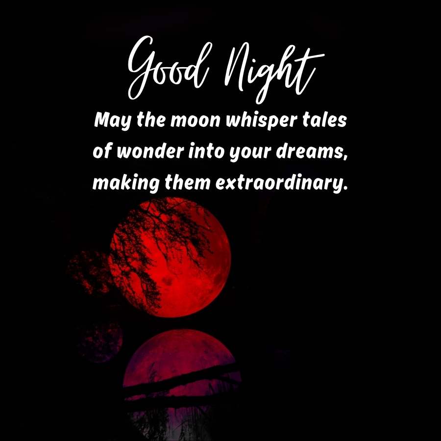 Good Night
May the moon whisper tales
of wonder into your dreams,
making them extraordinary.