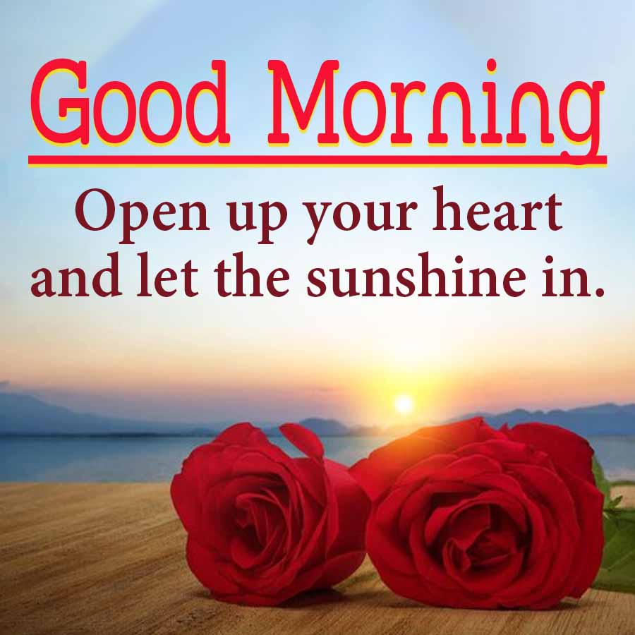 Good Morning
Open up your heart
and let the sunshine in.