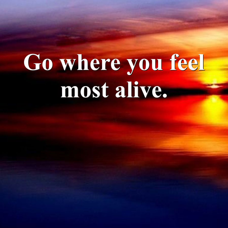 Go where you feel
most alive.