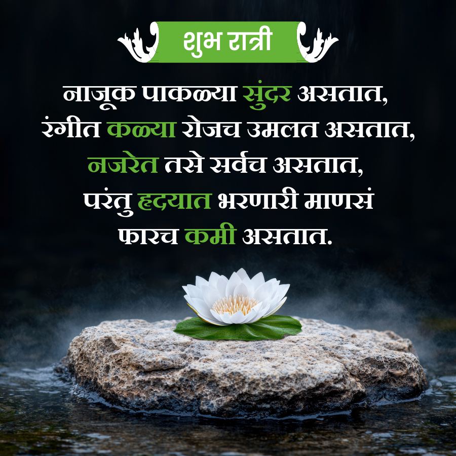 शुभ रात्री
नाजूक पाकळ्या सुंदर असतात,
रंगीत कळ्या रोजच उमलत असतात,
नजरेत तसे सर्वच असतात,
परंतु हृदयात भरणारी माणसं
फारच कमी असतात.