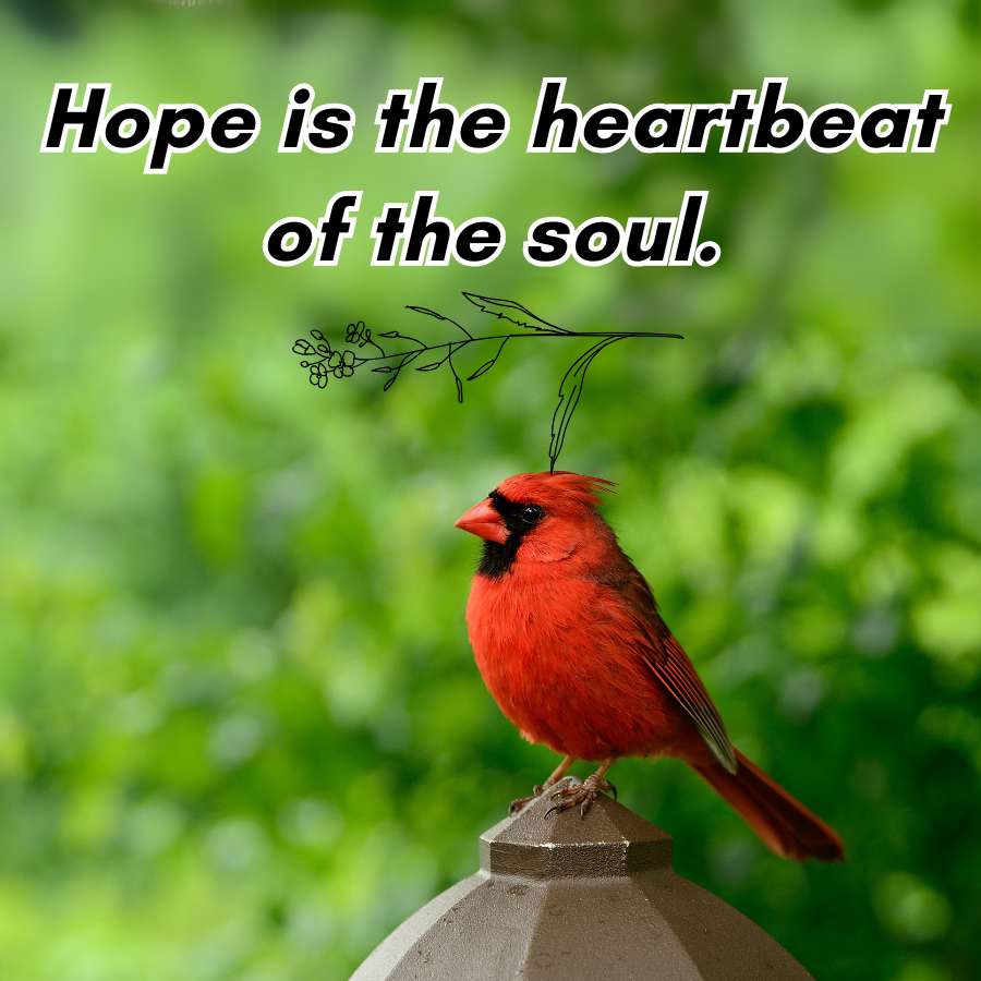 Hope is the heartbeat
of the soul.