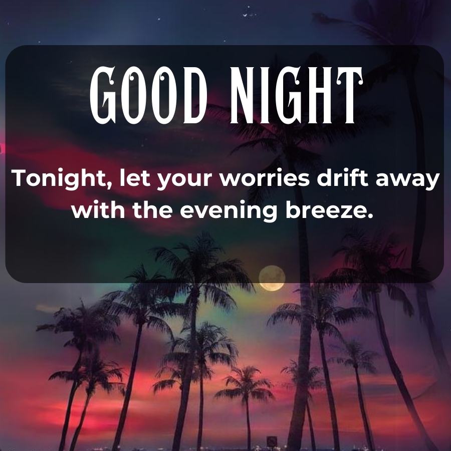 GOOD NIGHT
Tonight, let your worries drift away
with the evening breeze.