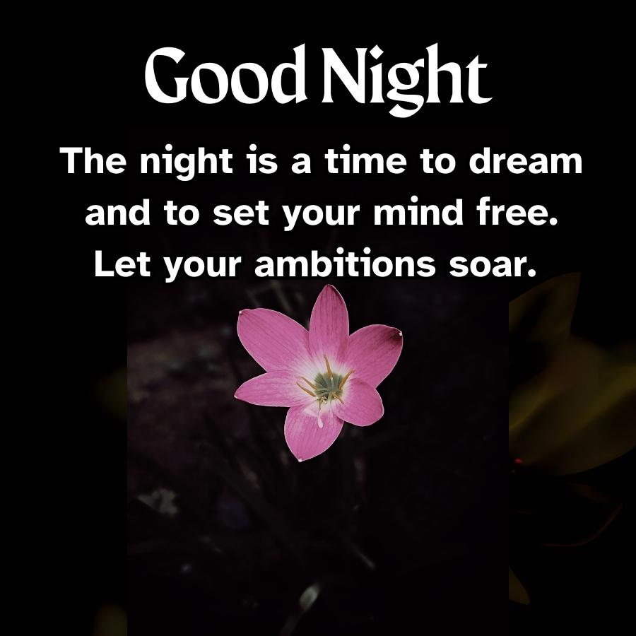 Good Night
The night is a time to dream
and to set your mind free.
Let your ambitions soar.
A