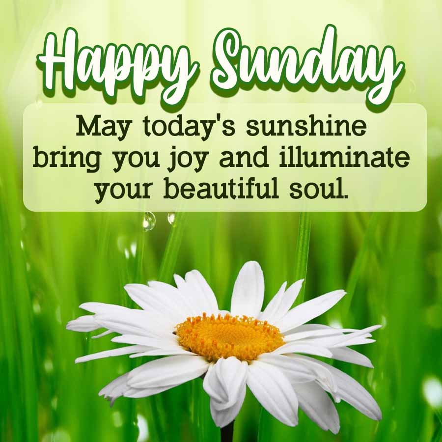Good Morning Quotes