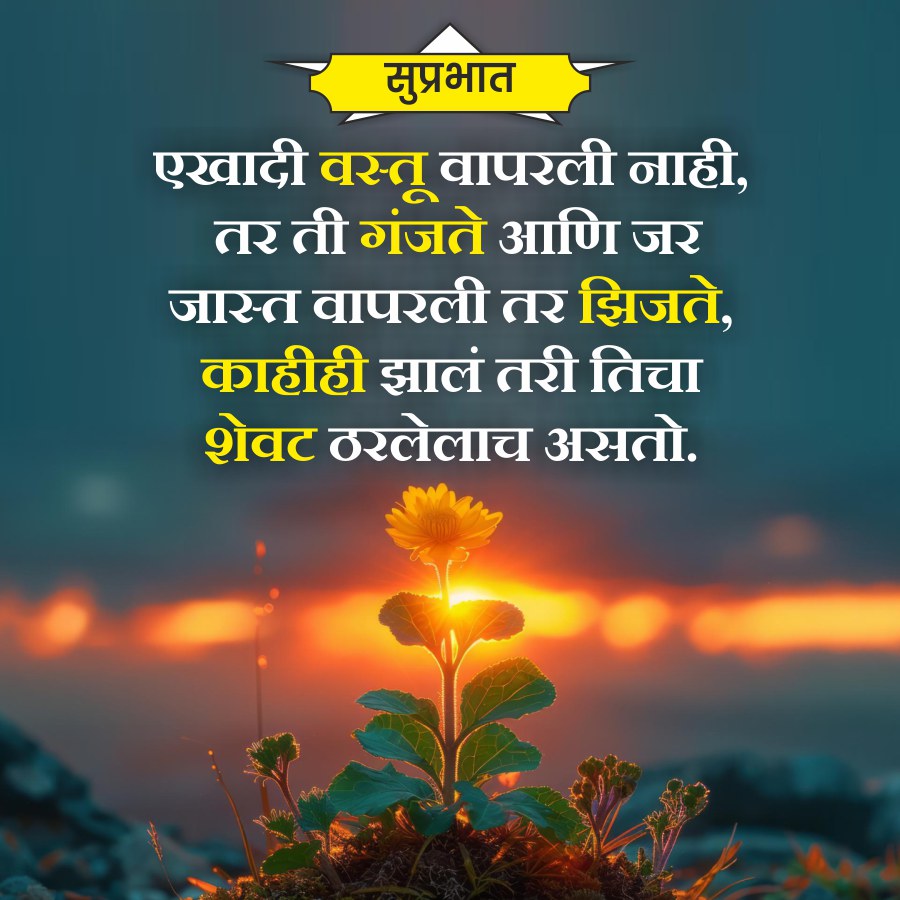 सुप्रभात
एखादी वस्तू वापरली नाही,
तर ती गंजते आणि जर
जास्त वापरली तर झिजते,
काहीही झालं तरी तिचा
शेवट ठरलेलाच असतो.