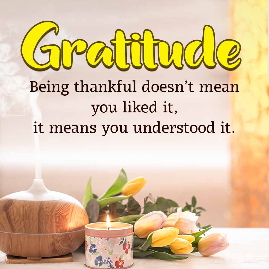 Gratitude
Being thankful doesn't mean
you liked it,
it means you understood it.