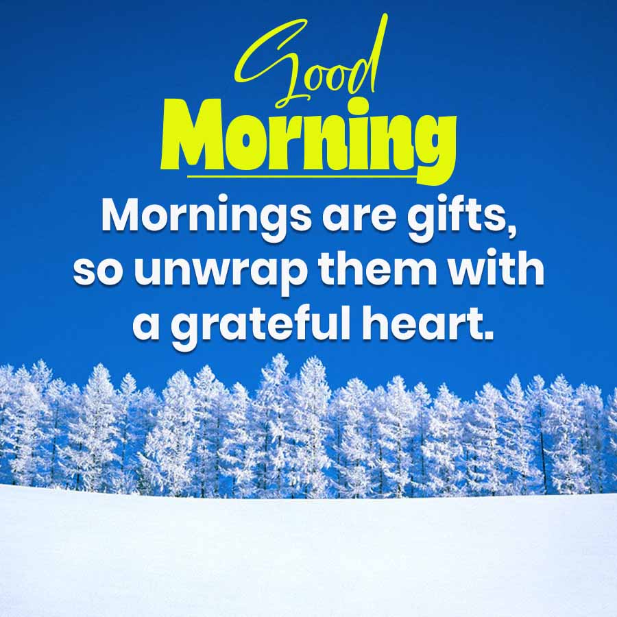 Good
Morning
Mornings are gifts,
so unwrap them with
a grateful heart.