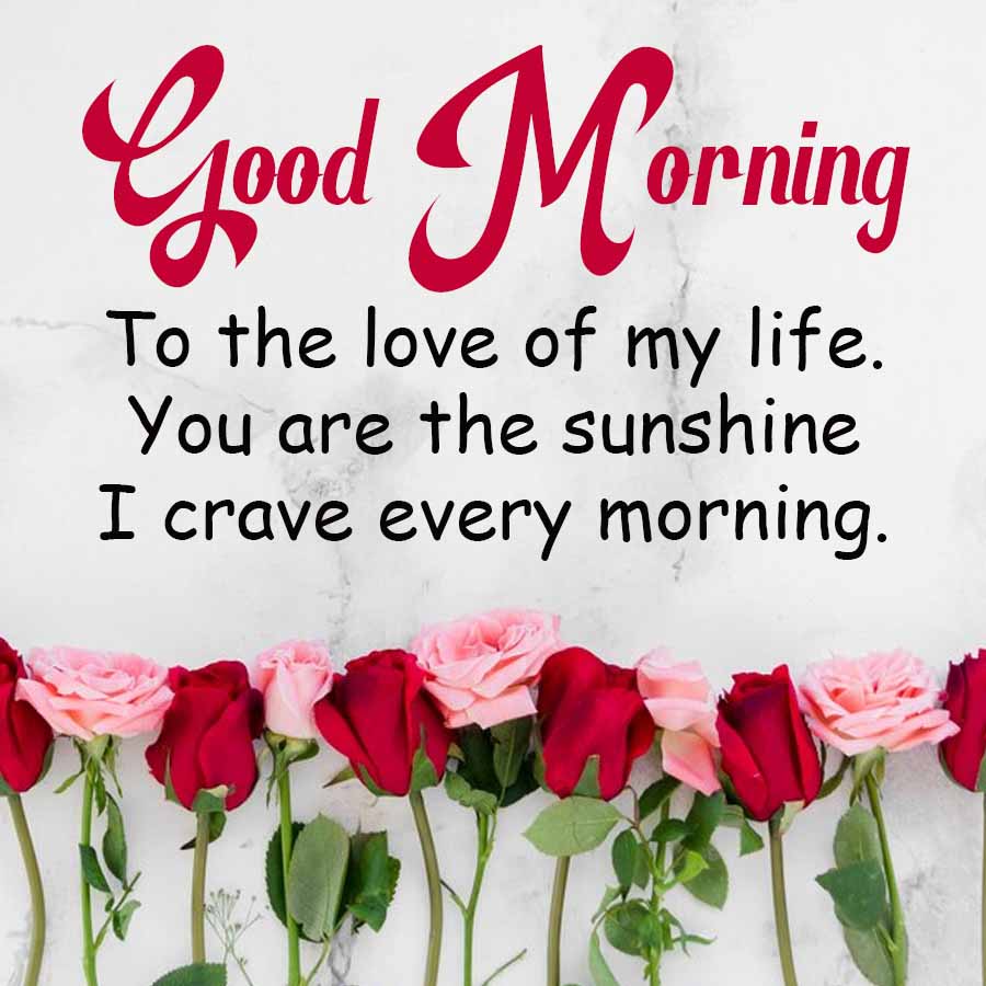 Good Morning
To the love of my life.
You are the sunshine
I crave every morning.