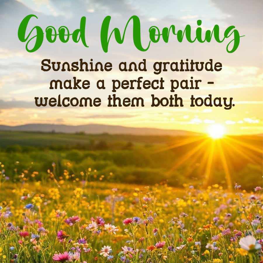 Good Morning
Sunshine and gratitude
make a perfect pair
welcome them both today.