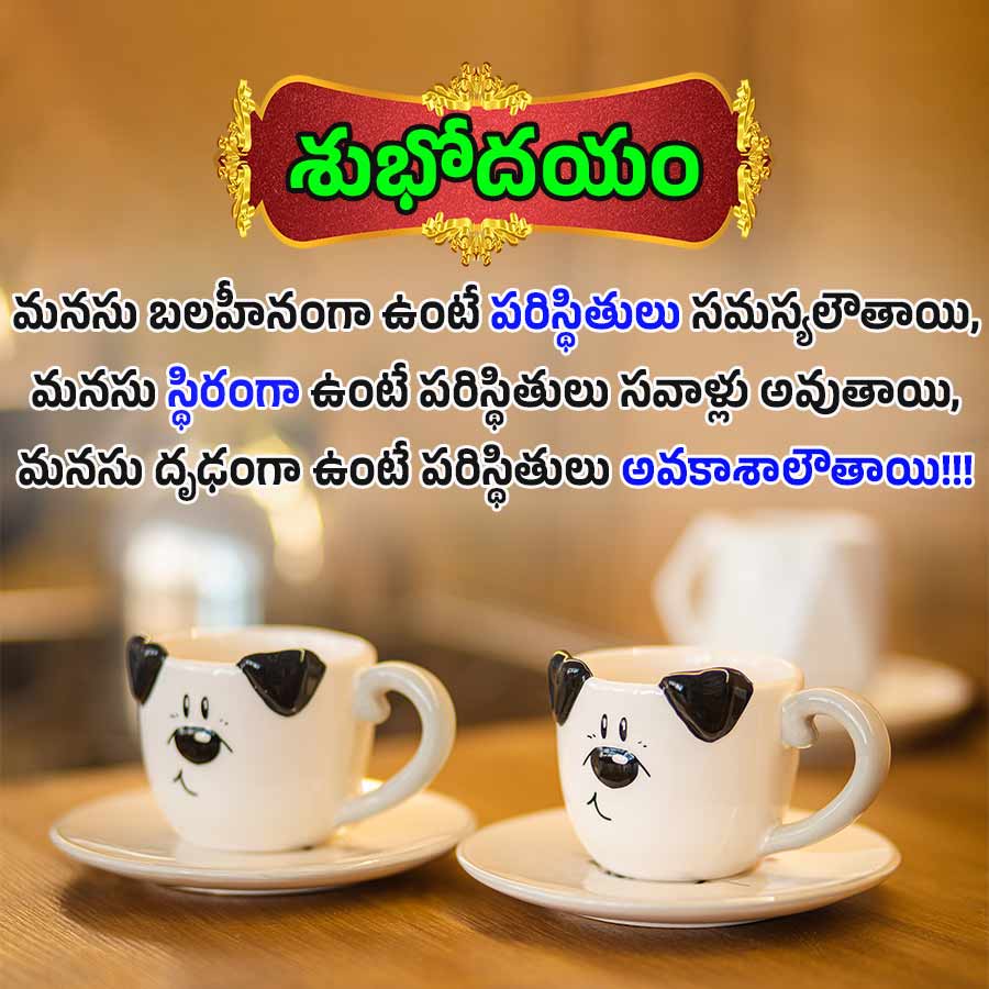 శుభోదయం
మనసు బలహీనంగా ఉంటే పరిస్థితులు సమస్యలౌతాయి,
మనసు స్థిరంగా ఉంటే పరిస్థితులు సవాళ్లు అవుతాయి,
మనసు దృఢంగా ఉంటే పరిస్థితులు అవకాశాలౌతాయి!!!