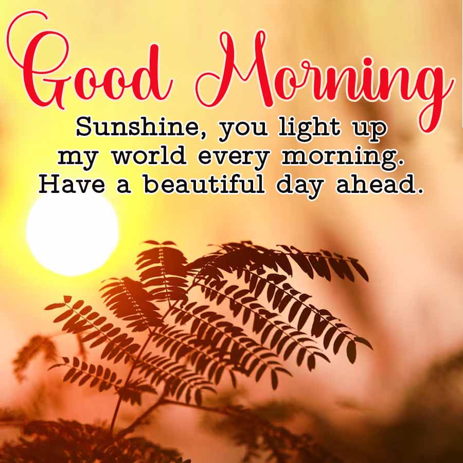 Good Morning
Sunshine, you light up
my world every morning.
Have a beautiful day ahead.