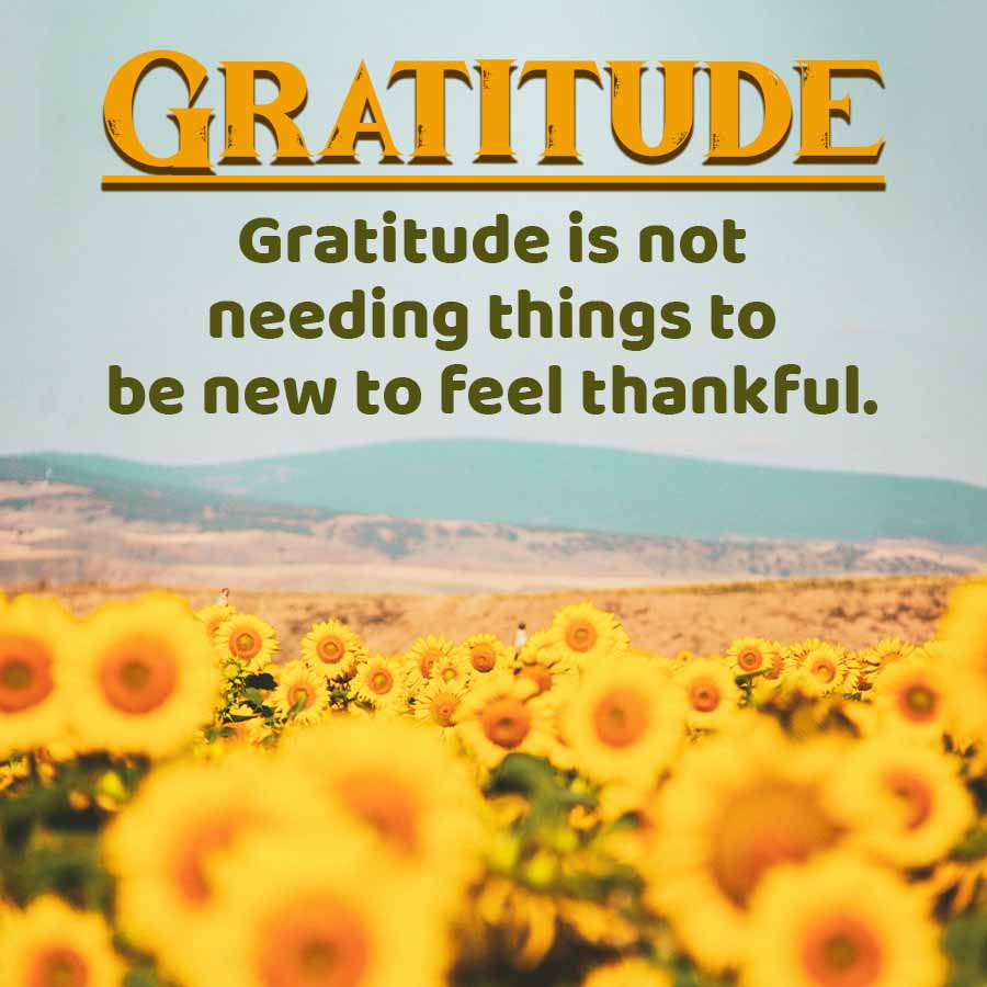 GRATITUDE
Gratitude is not
needing things to
be new to feel thankful.