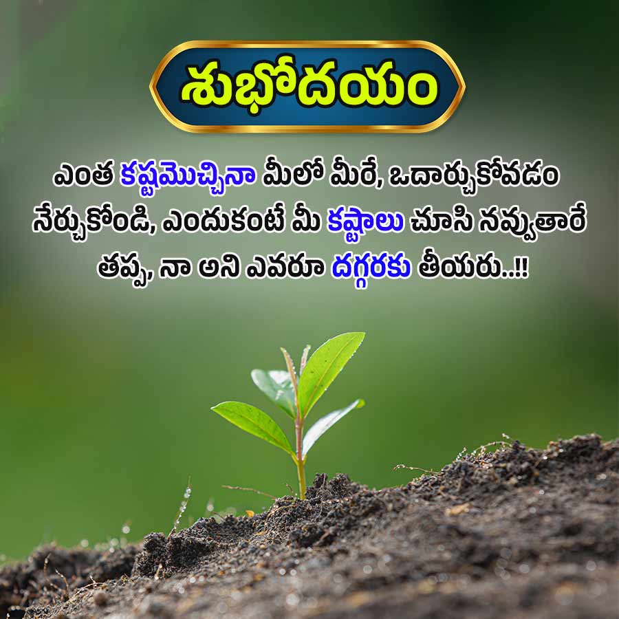 శుభోదయం
ఎంత కష్టమొచ్చినా మీలో మీరే, ఒదార్చుకోవడం
నేర్చుకోండి, ఎందుకంటే మీ కష్టాలు చూసి నవ్వుతారే
తప్పు, నా అని ఎవరూ దగ్గరకు తీయరు...!!