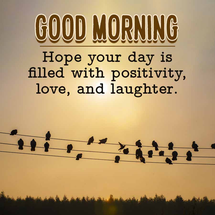 GOOD MORNING
Hope your day is
filled with positivity,
love, and laughter.