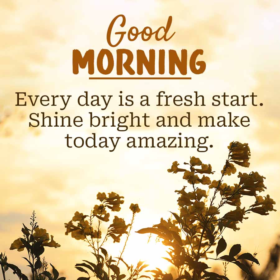Good
MORNING
Every day is a fresh start.
Shine bright and make
today amazing.