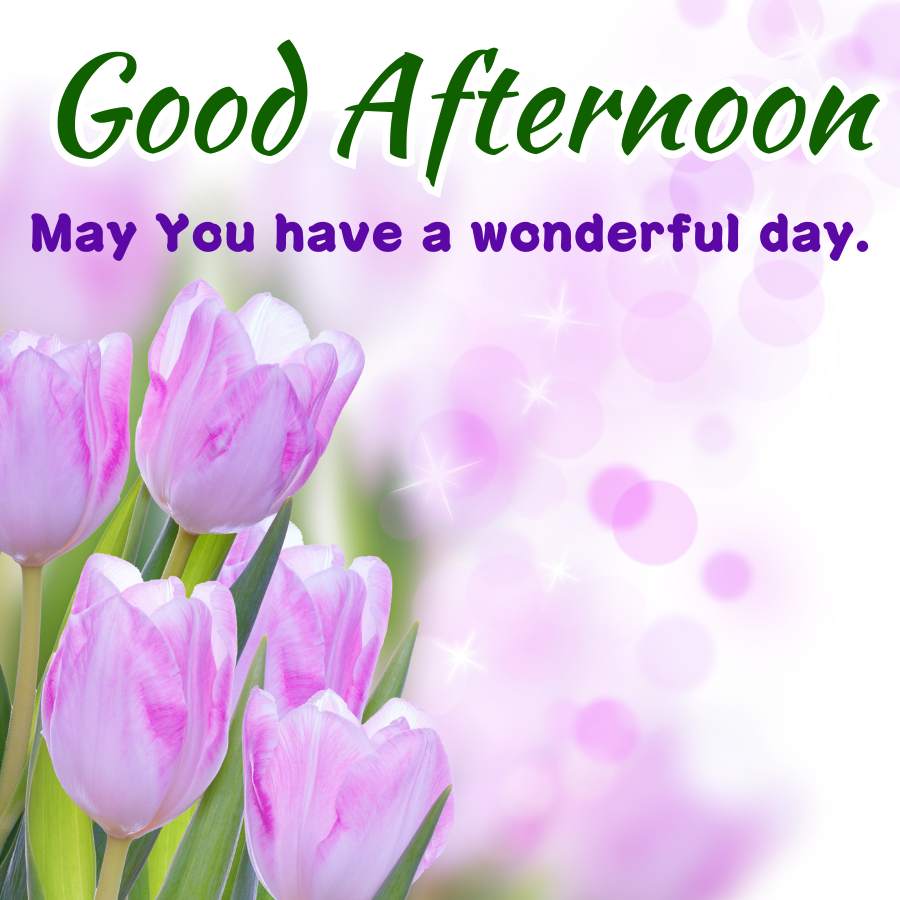 Good Afternoon
May You have a wonderful day.