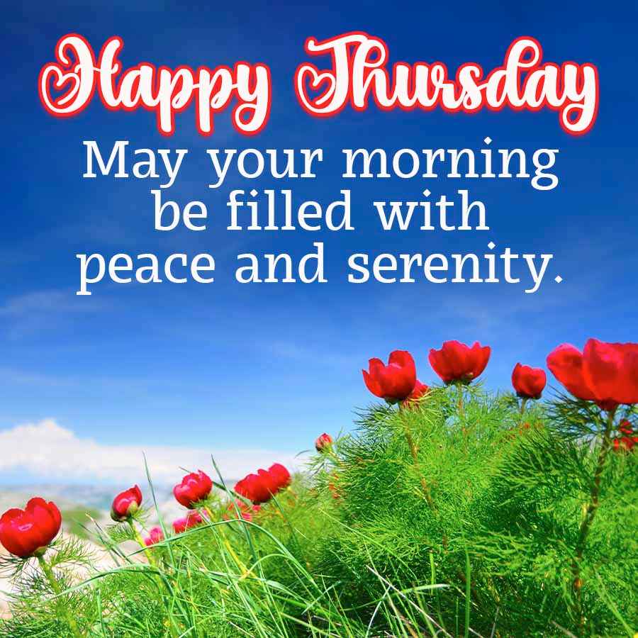 Happy Thursday
May your morning
be filled with
peace and serenity.