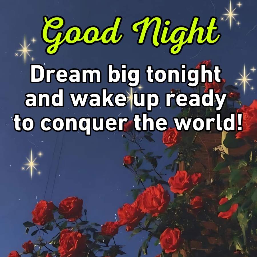 Good night
Dream big tonight
and wake up ready
to conquer the world!