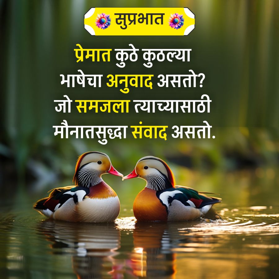 सुप्रभात
प्रेमात कुठे कुठल्या
भाषेचा अनुवाद असतो?
जो समजला त्याच्यासाठी
मौनातसुद्धा संवाद असतो.