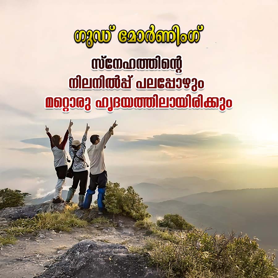 Good Morning Quotes
