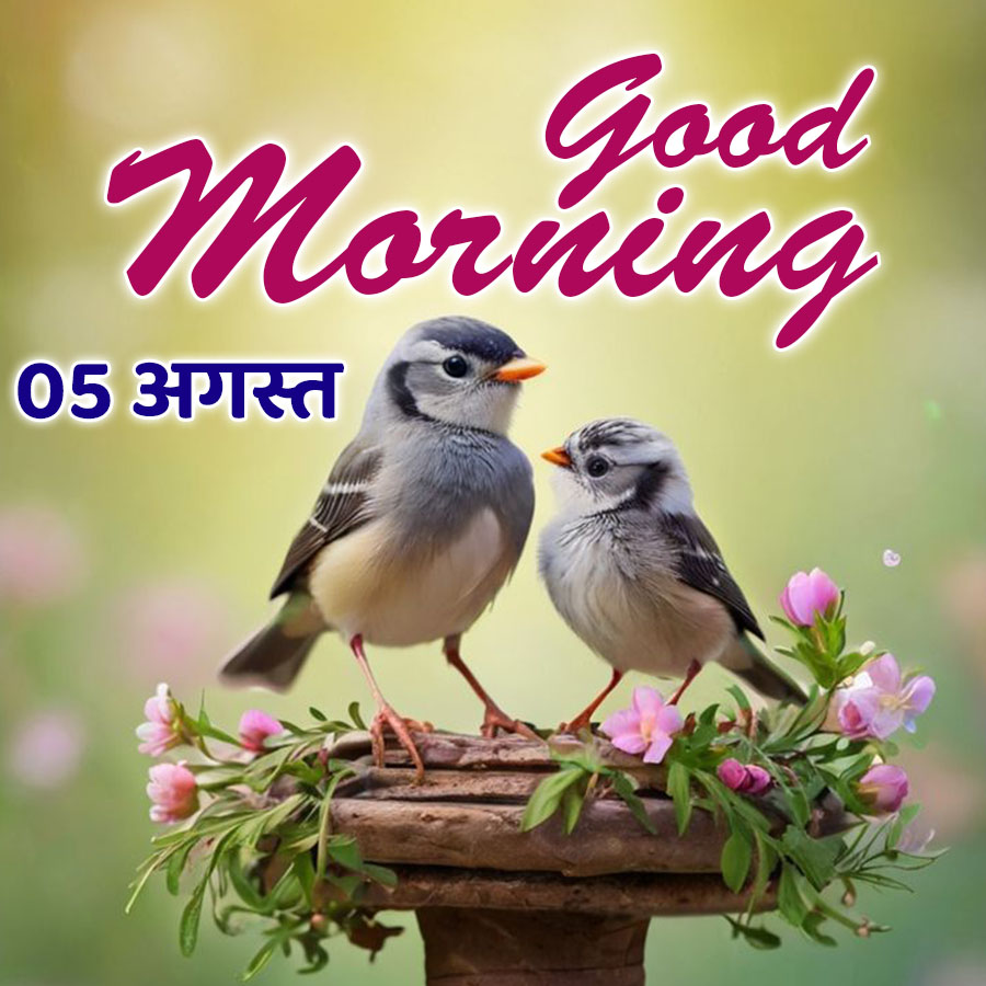Good Morning Quotes