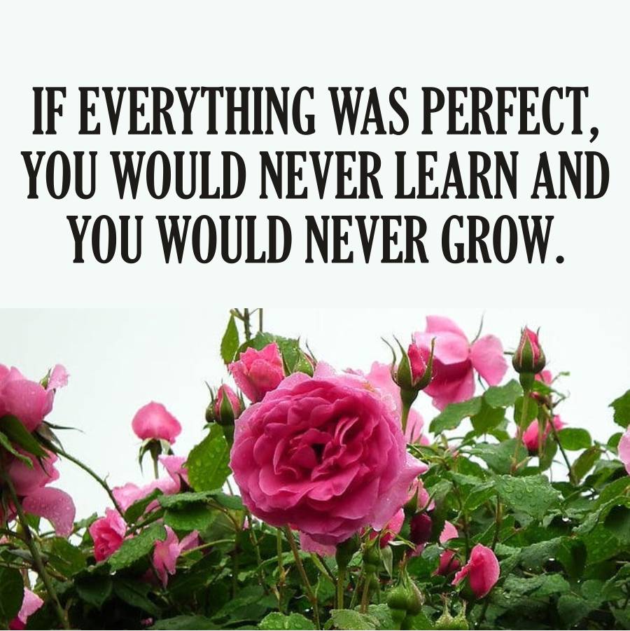IF EVERYTHING WAS PERFECT,
YOU WOULD NEVER LEARN AND
YOU WOULD NEVER GROW.