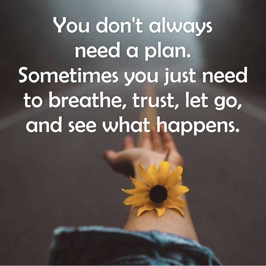 You don't always
need a plan.
Sometimes you just need
to breathe, trust, let go,
and see what happens.