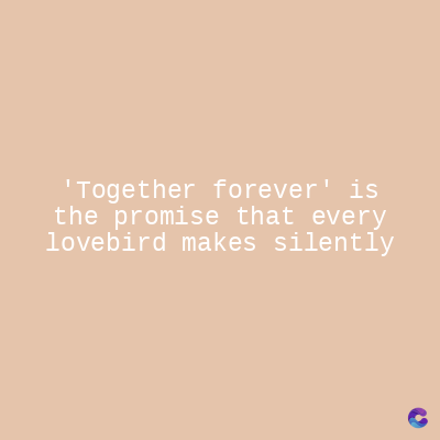 'Together forever' is
the promise that every
lovebird makes silently