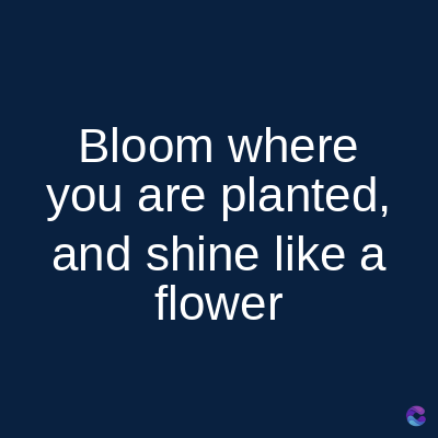 Bloom
where
you are planted,
and shine like a
flower
