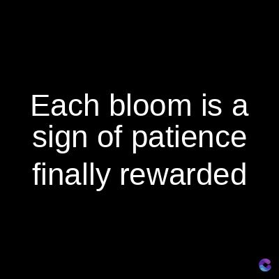 Each bloom is a
sign of patience
finally rewarded