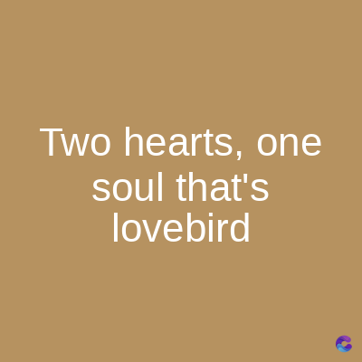 Two hearts, one
soul that's
lovebird