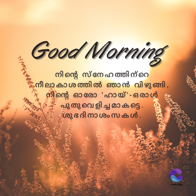 Good Morning
നിന്റെ സ്നേഹത്തിന്റെ
നീലാകാശത്തിൽ ഞാൻ വിഴുങ്ങി,
നിന്റെ ഓരോ 'ഹായ്' - ഒരാൾ
പുതു വെളിച്ചമാകട്ടെ.
ശുഭ ദി നാ ശംസകൾ.
wwwww
CatsAp
