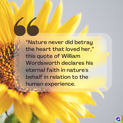 66
"Nature never did betray
the heart that loved her,"
this quote of William
Wordsworth declares his
eternal faith in nature's
behalf in relation to the
human experience.